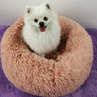 Dog and Cat Bed
