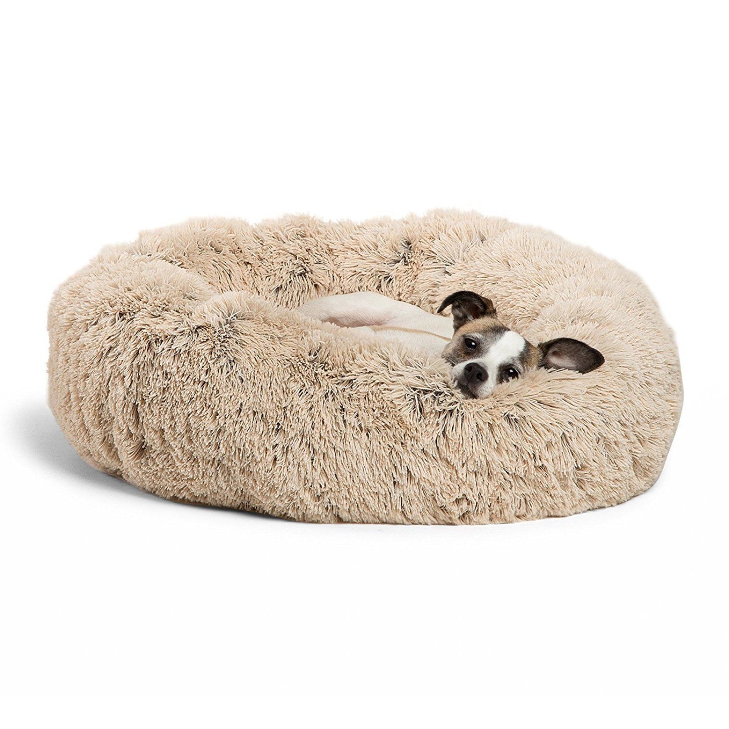 Dog and Cat Bed