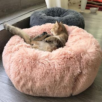 Dog and Cat Bed