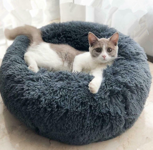 Dog and Cat Bed